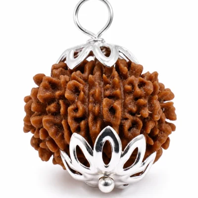 13 Mukhi Nepali Rudraksha Pendant – Attraction & Confidence Bead