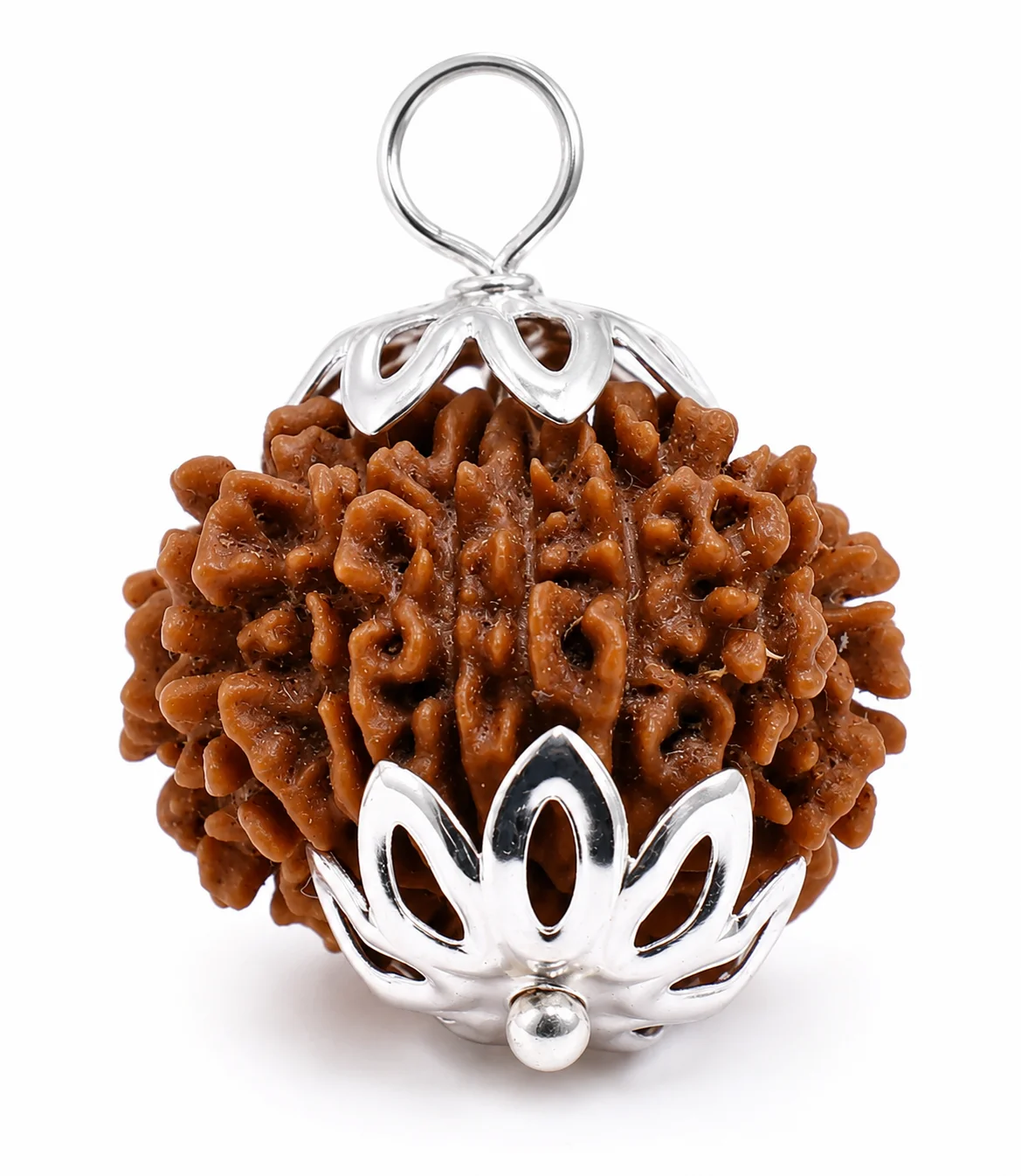 13 Mukhi Nepali Rudraksha Pendant – Attraction & Confidence Bead