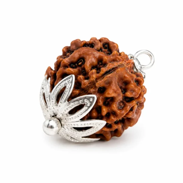 7 Mukhi Rudraksha Pendant (Govt Lab Certified)