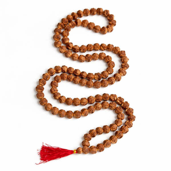 7 Mukhi Rudraksha Mala