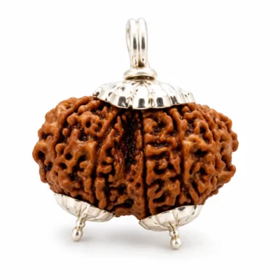 Nepali Gauri Shankar Rudraksha
