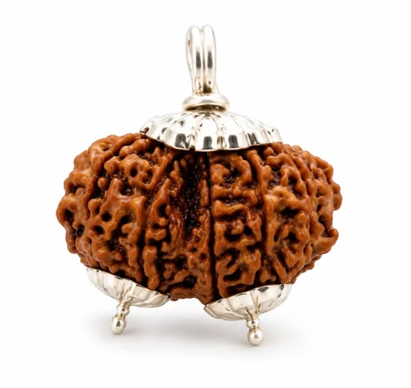 Nepali Gauri Shankar Rudraksha