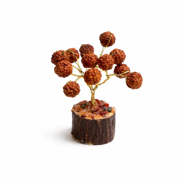 Rudraksha Miniature Tree | Healing & Spiritual Décor
