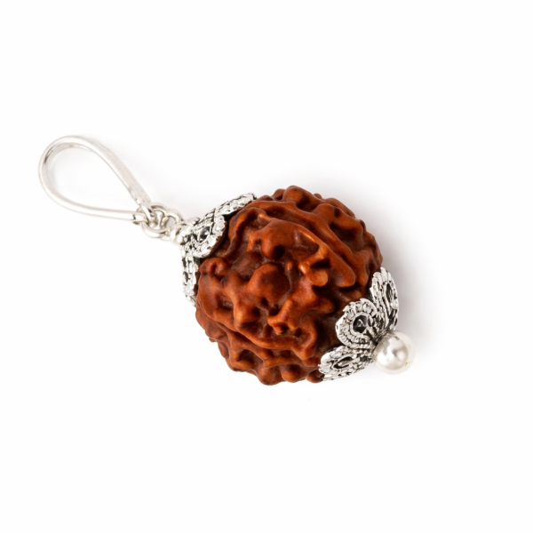 5 Mukhi Rudraksha Bead Pendant (Govt Lab Certified)