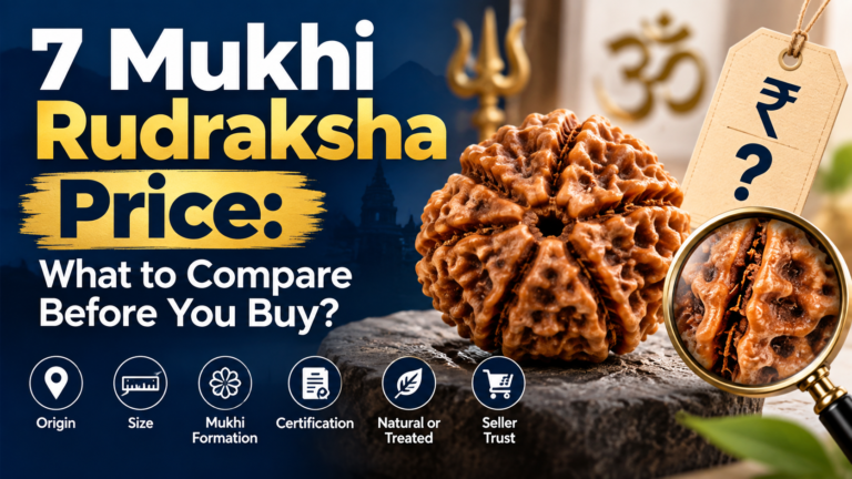 7 Mukhi Rudraksha Price: What to Compare Before You Buy
